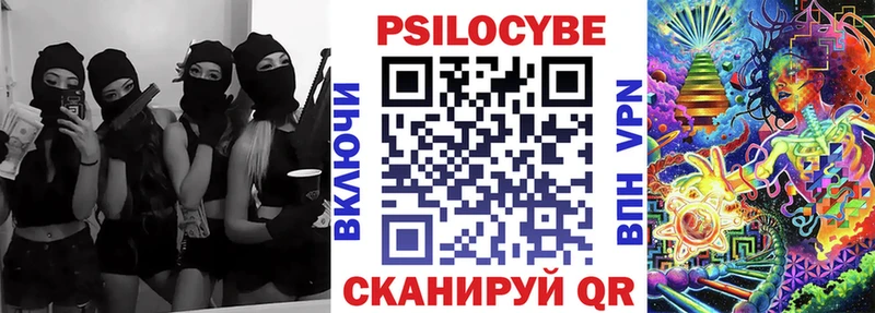 Псилоцибиновые грибы Psilocybe  Камызяк 